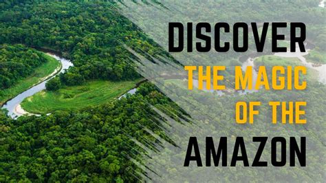 Green Hell: An Immersive Journey into the Amazon Rainforest!