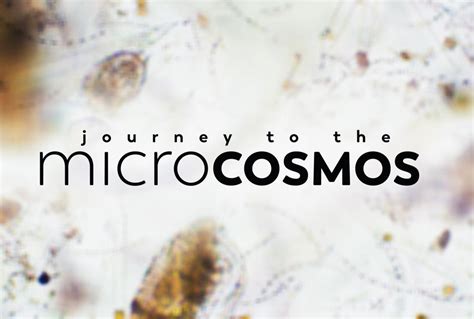  Journey to the Microcosmos! An In-Depth Look at a Game That Shrinks Learning Down